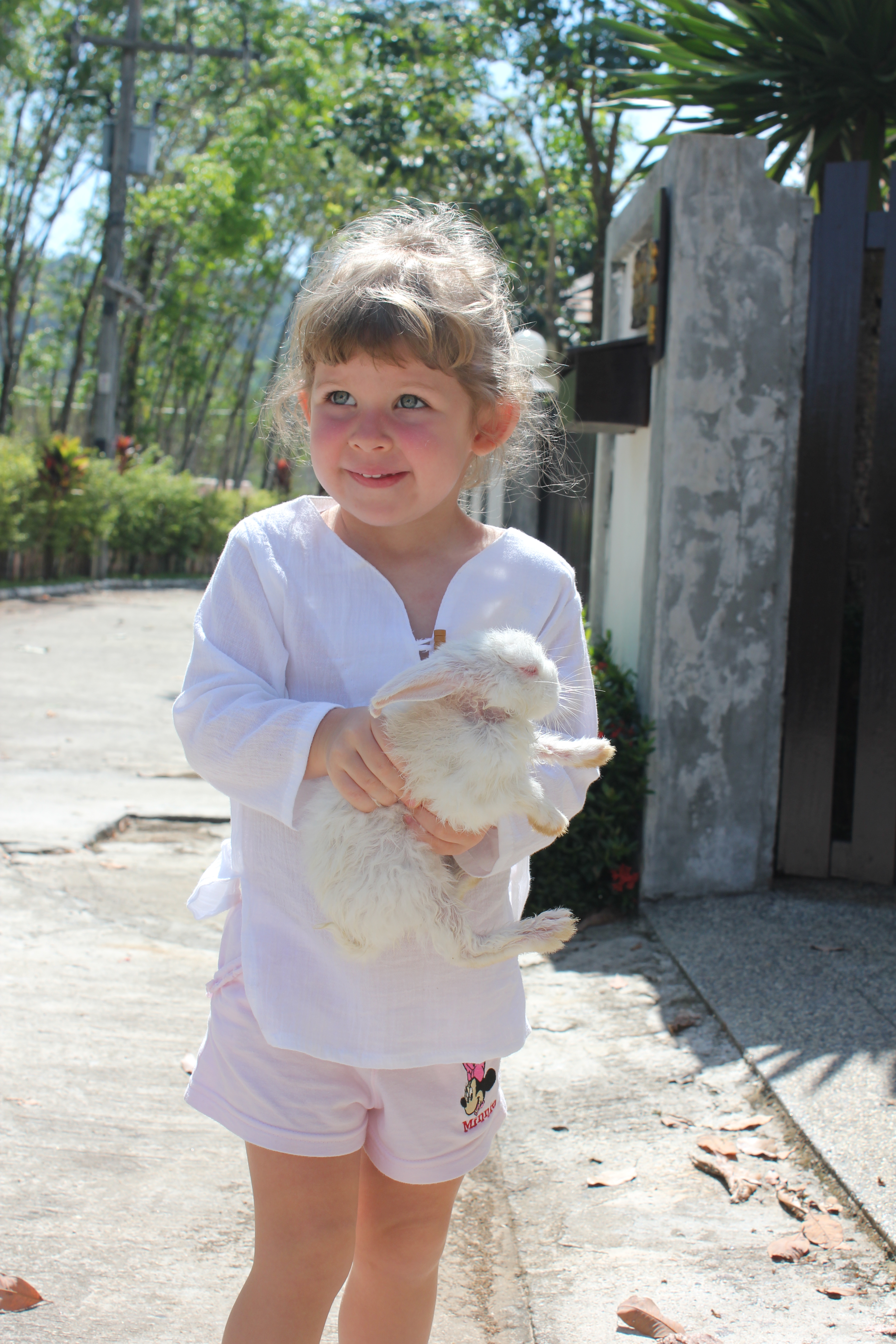 Rules for importing rabbits