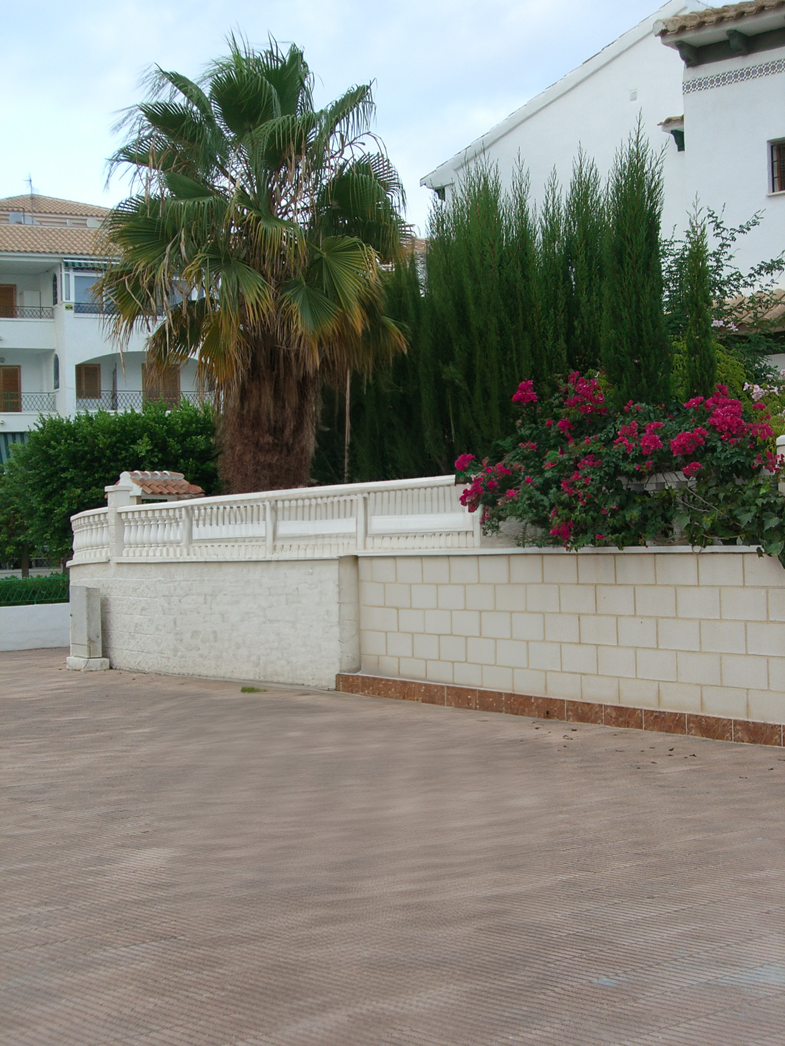 Importing Pets to Spain