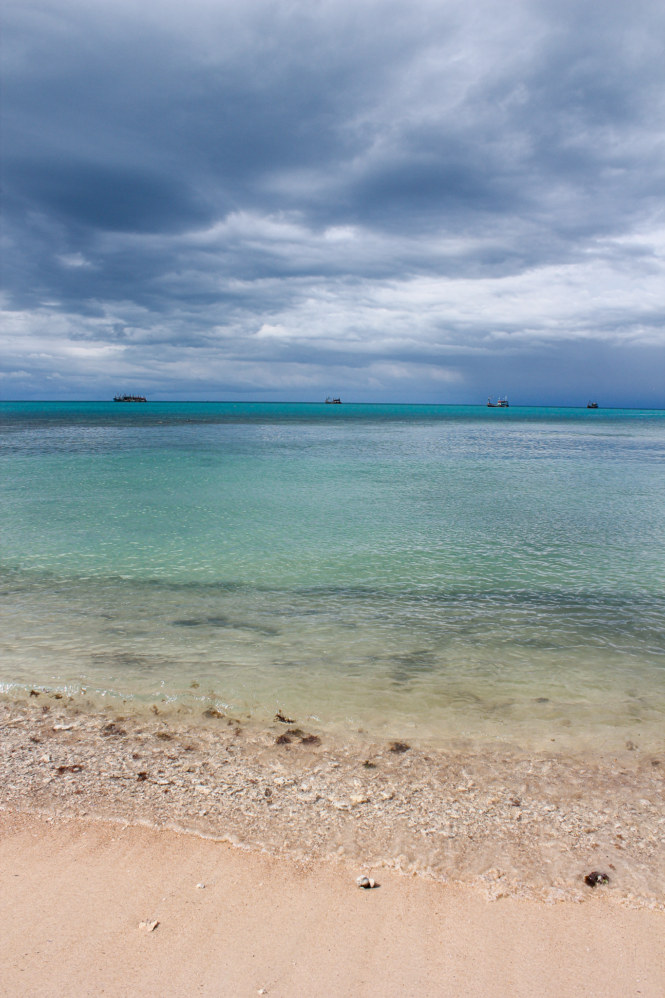 Bahamas Pet Import Requirements
