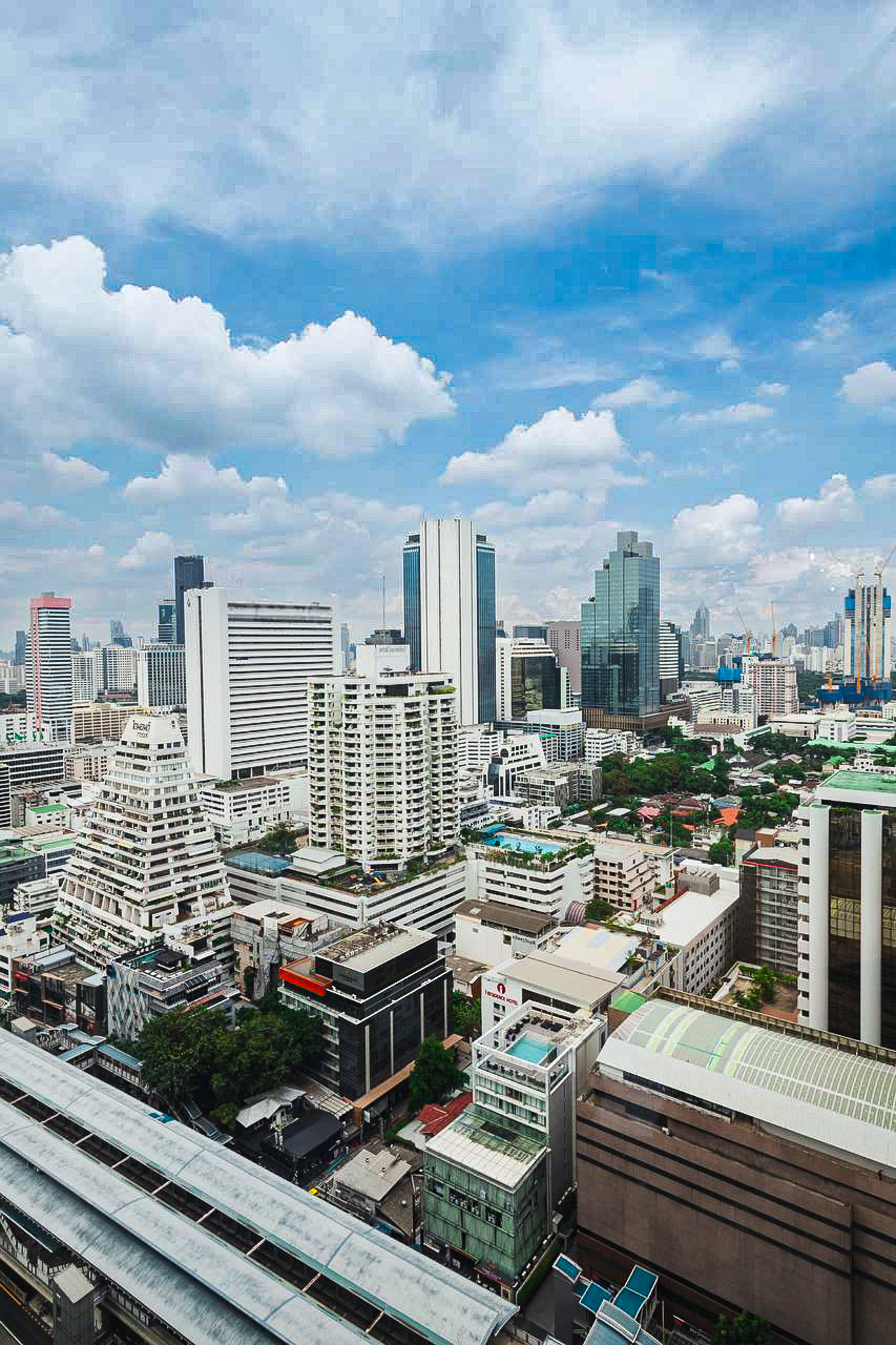 Singapore Pet Import Requirements