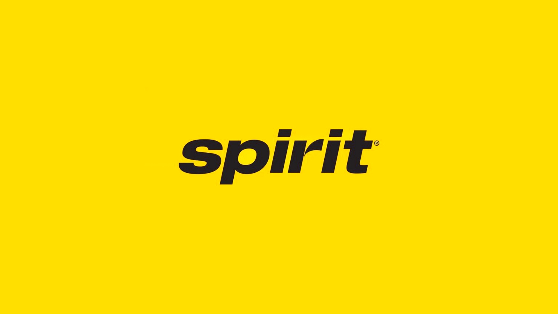Spirit Pet Policy